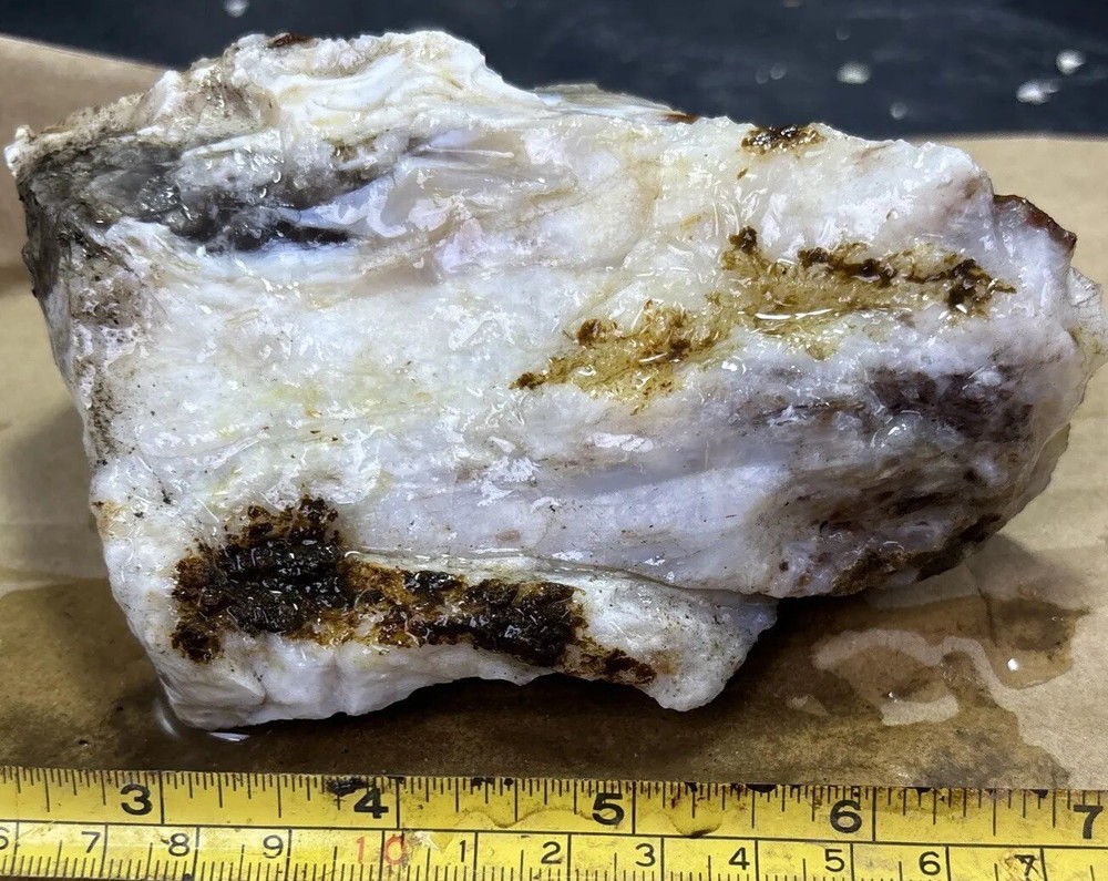 Silver Creek Junction optimized petrified wood