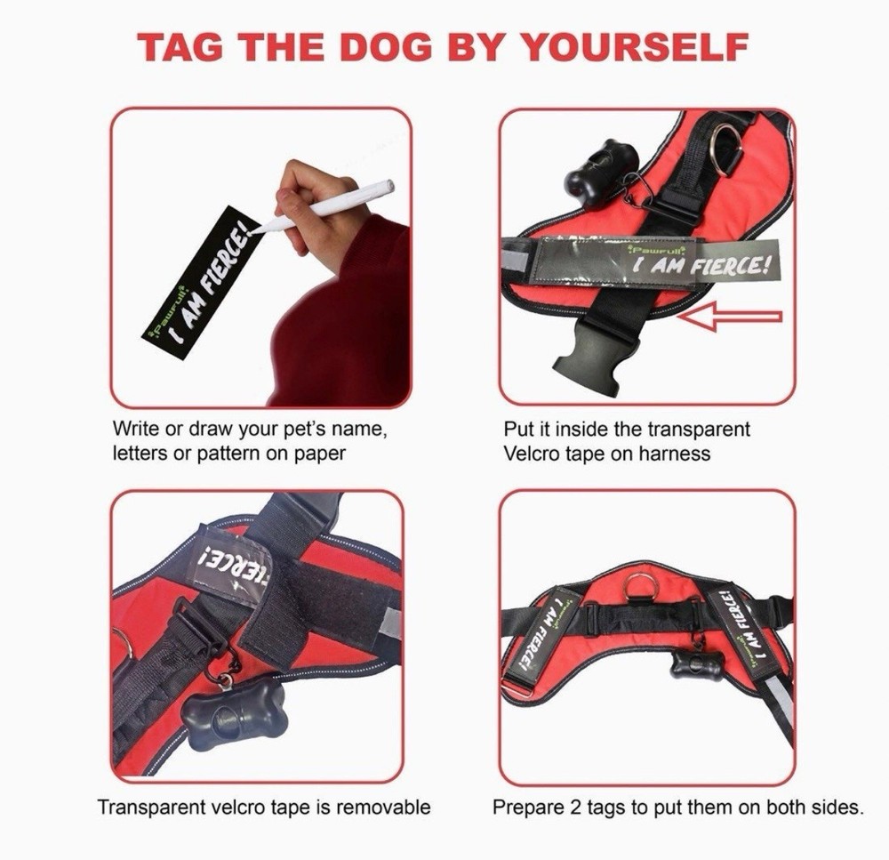 PAWFULL 🐾No Pull Reflective D🐶G Harness KiT | BLACK