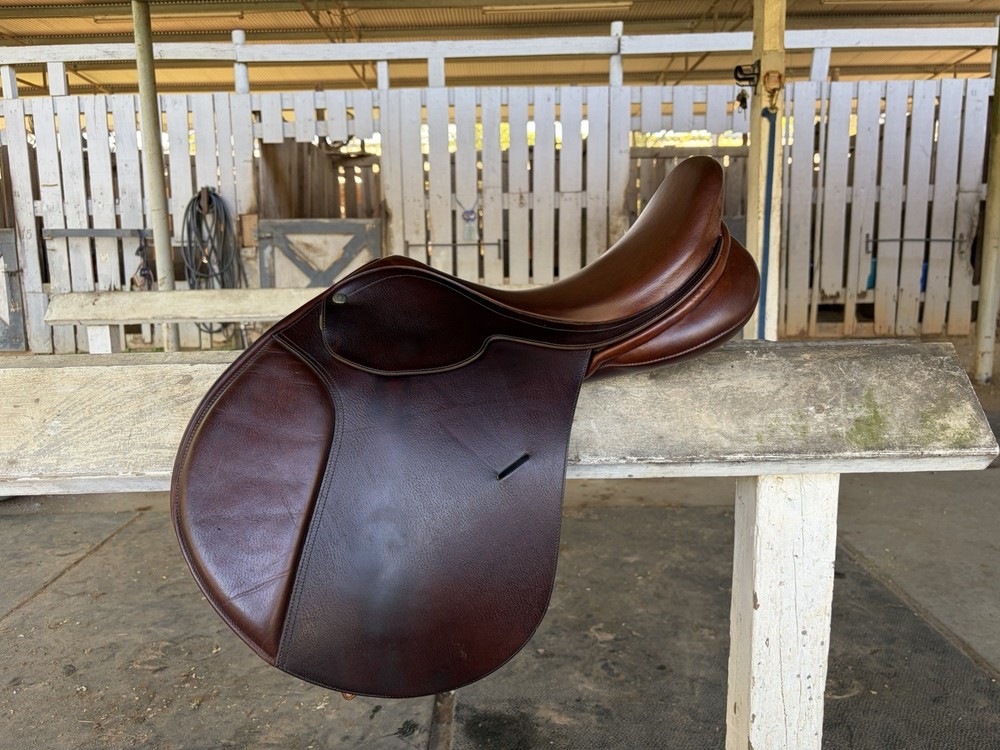 Collegiate Post-Graduate all-purpose saddle, 17”
