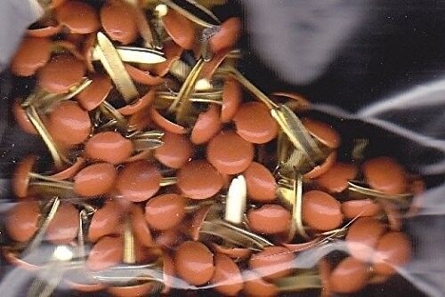 Orange Colored Mini Round Brad - Bulk 100ct