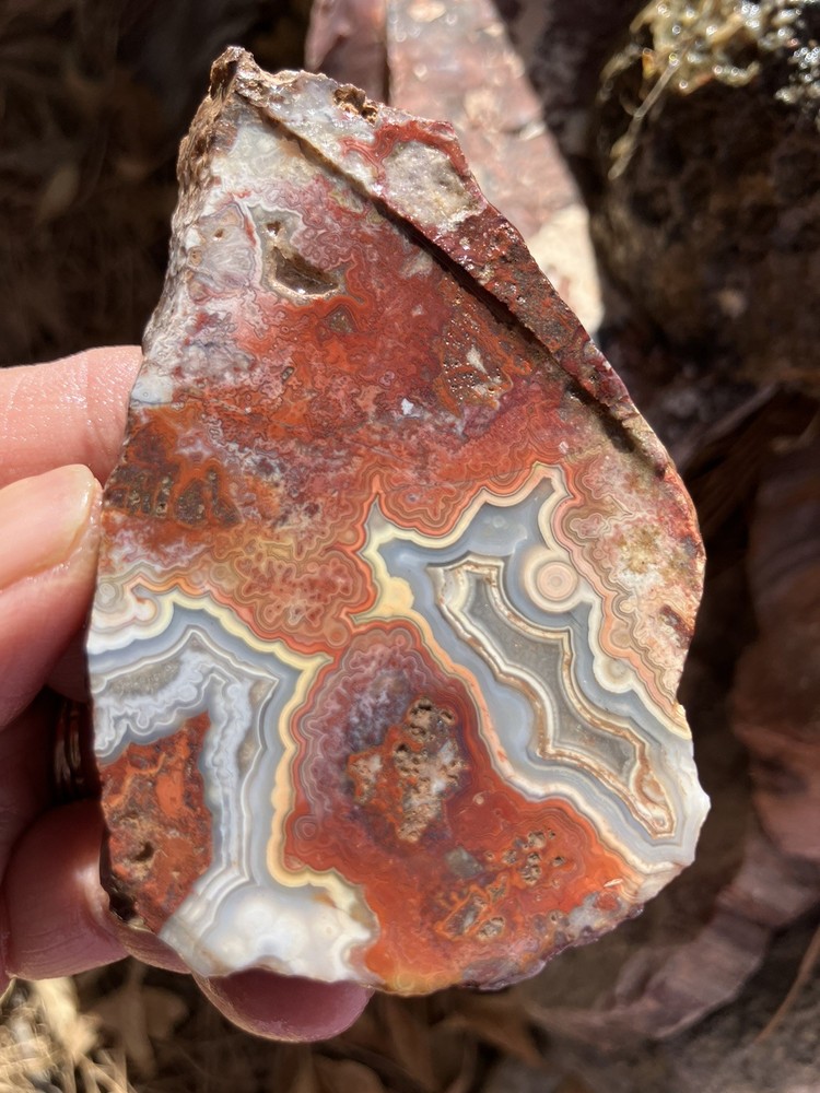 Crazy Lace Agate Slab