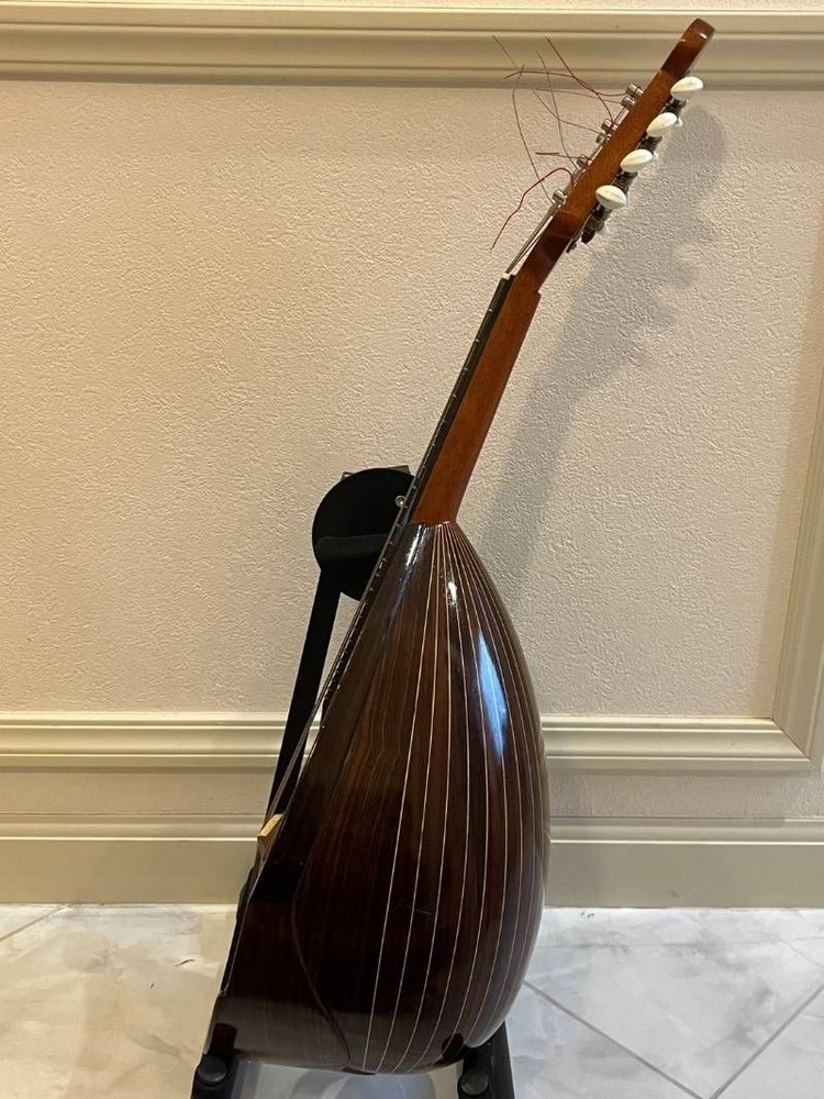 Minoru Noguchi Mandolin String Instrument with Hard Case