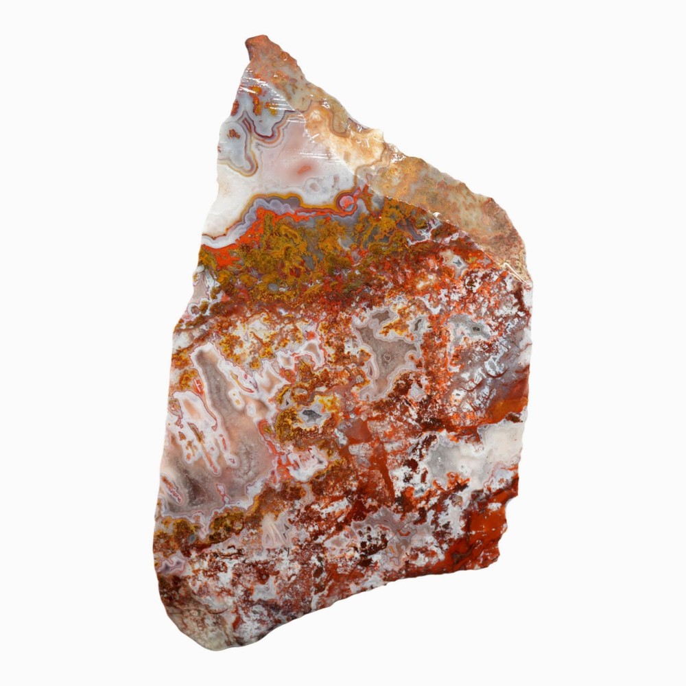 Apple Valley Agate Slab - Multicolor Fortification Tubes Moss