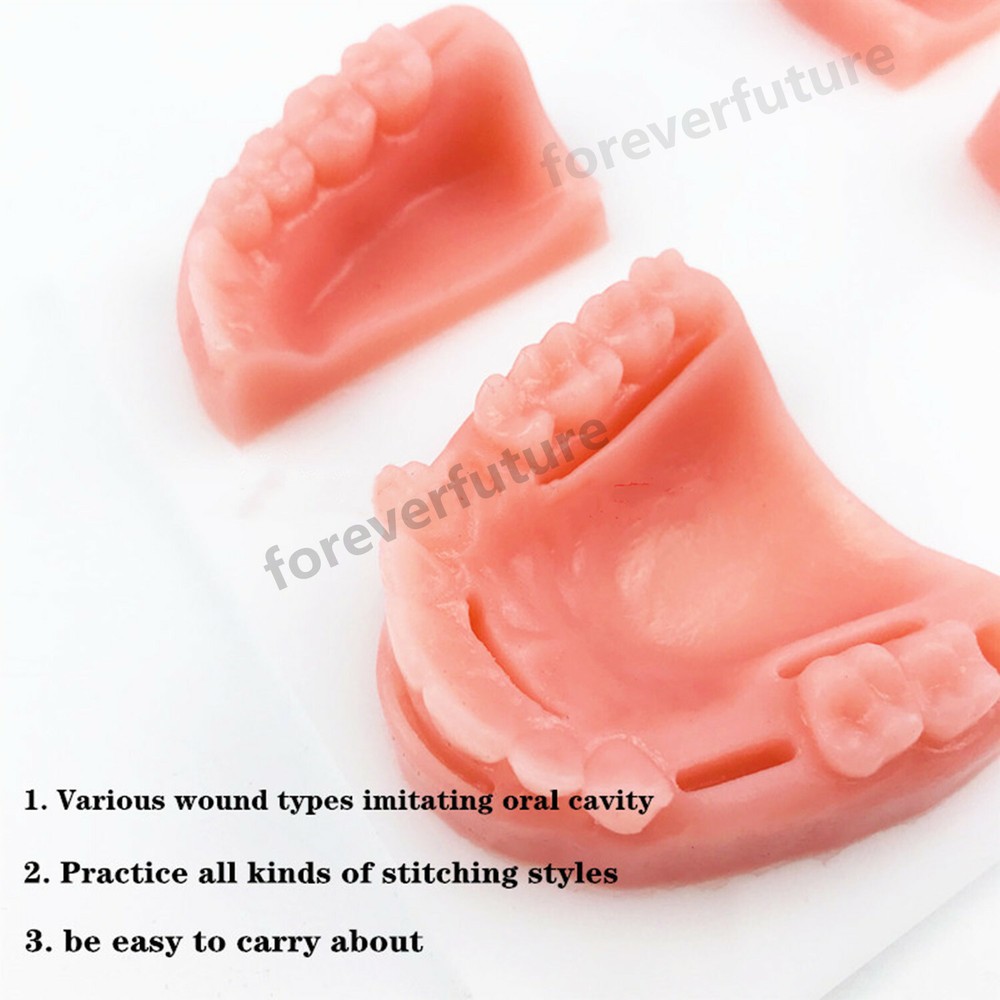 Dental Simulation Suture Model Gum Teaching Training Sutures Dentist Practise