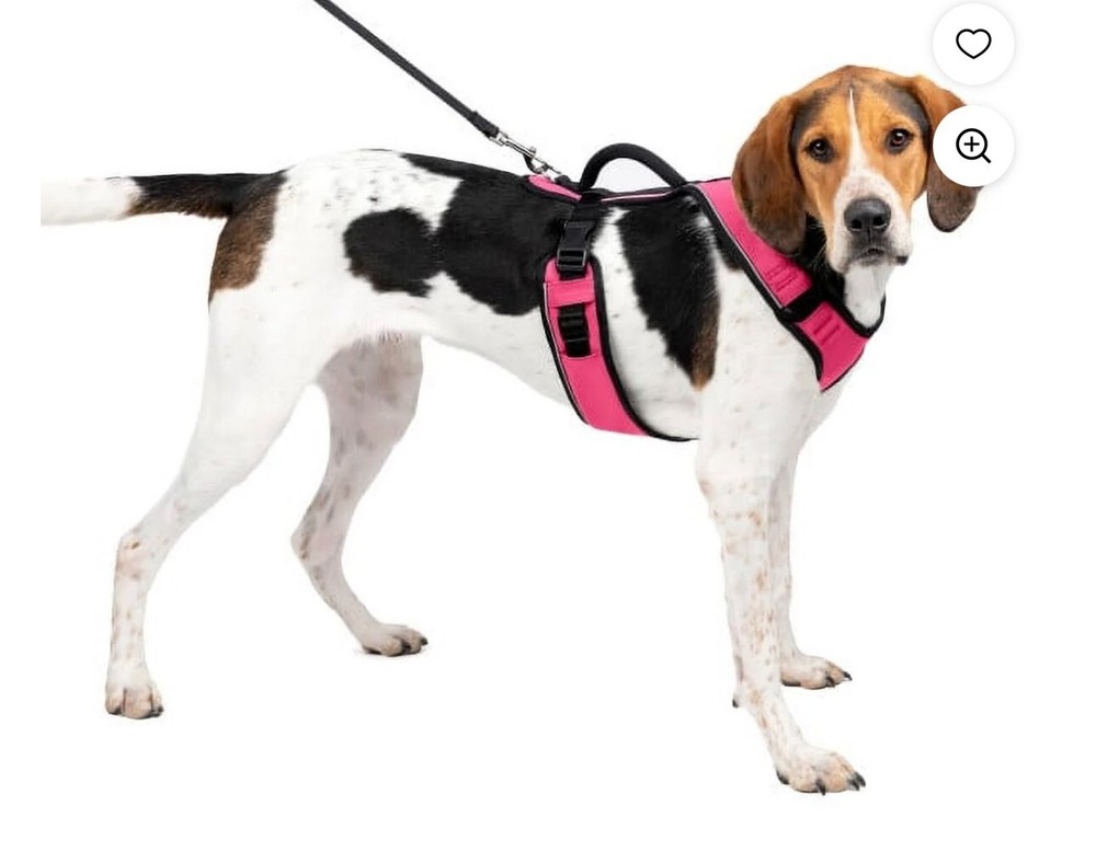 PetSafe EasySport Dog Harness, Adjustable, Padded with Handle, Reflective, Large