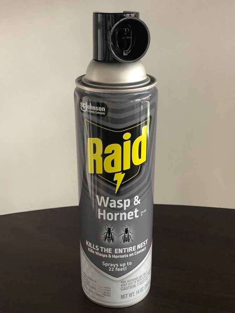 Raid Wasp and Hornet Insecticide Insect Killer Spray - 14Oz - EACH