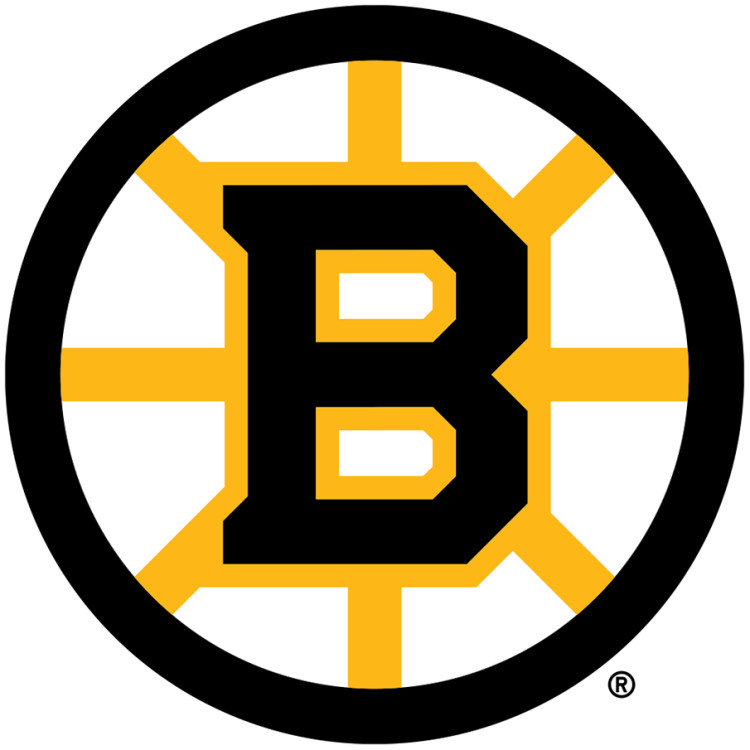 Boston Bruins Home Made Art Photo Cards