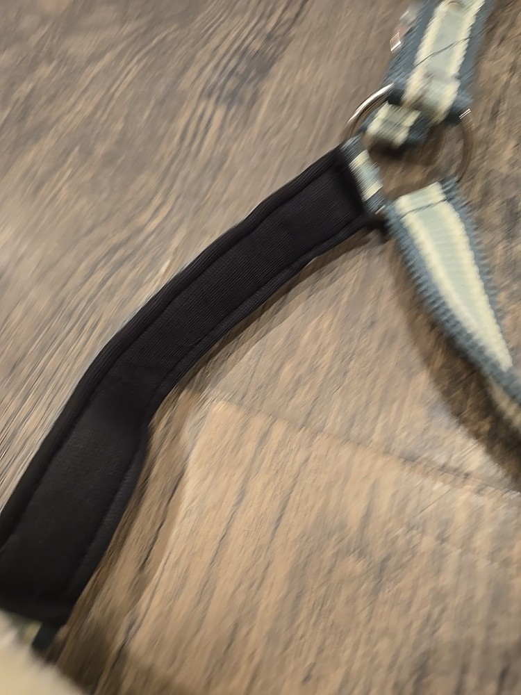 Horse Halter
