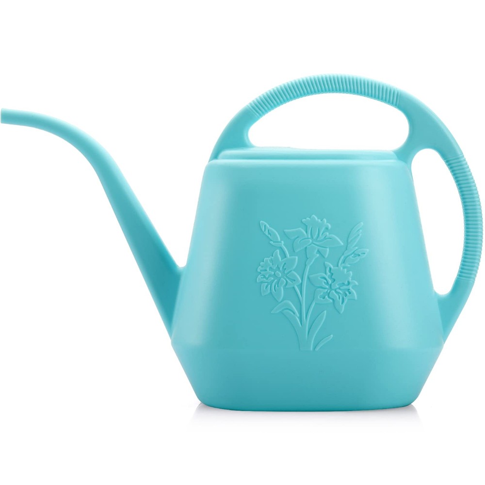 Fasmov 1-Gallon Plastic Watering Can with Comfortable Handle, Garden Blue