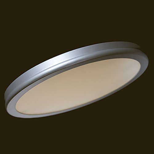 LED Flush Mount Ceiling Lights