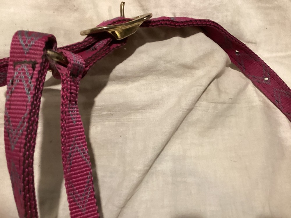 Nice Stockmen's Nylon Horse Halter