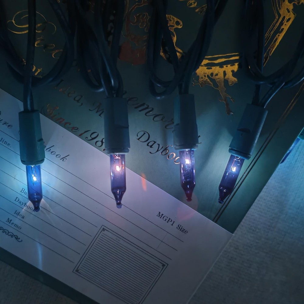 HISHINY Christmas Lights 100 Count Blue Tree String 21feet,