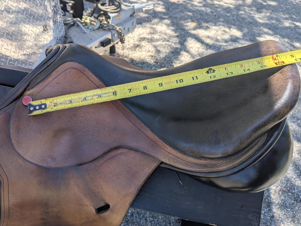 Buffalo Leather SDL Jumping Saddle. Rare find. Includes Stirrups & Leathers