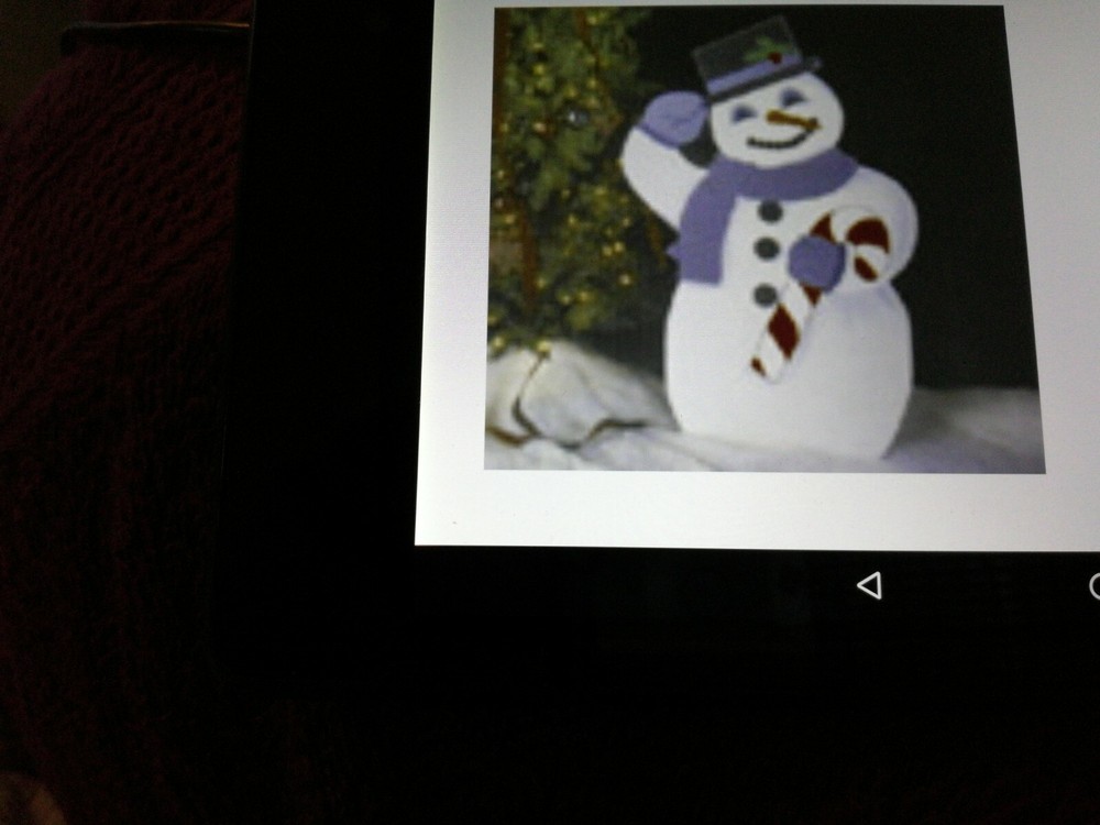 Full Size Lawn Decorations