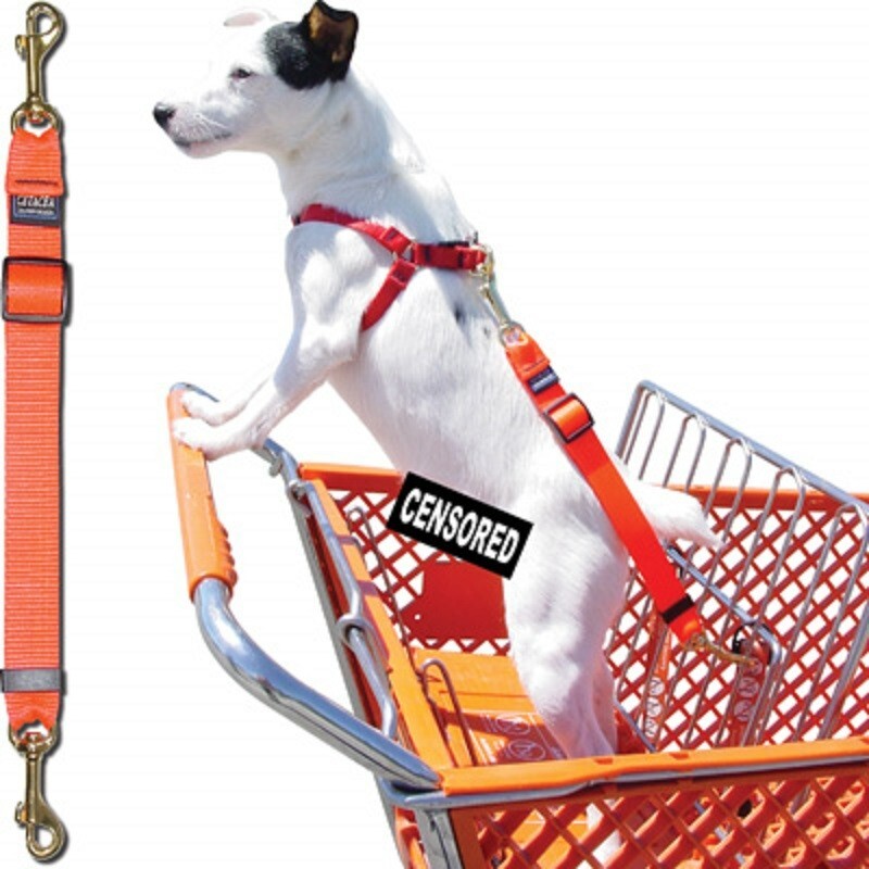 Shopping Cart Tether for your Pet/Dog - PT-SCT - Step 2 Brown