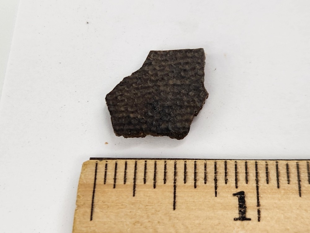 Cretaceous Turtle Shell Fossil - Testudines - Judith River Fm. - Hill Co., MT
