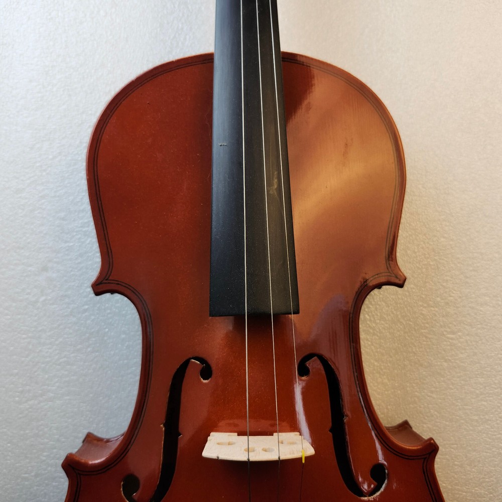 Student Violin w/ Case Bow Rosin String Cheek Rest 4/4 Size