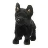 Douglas Harko Black German Shepard