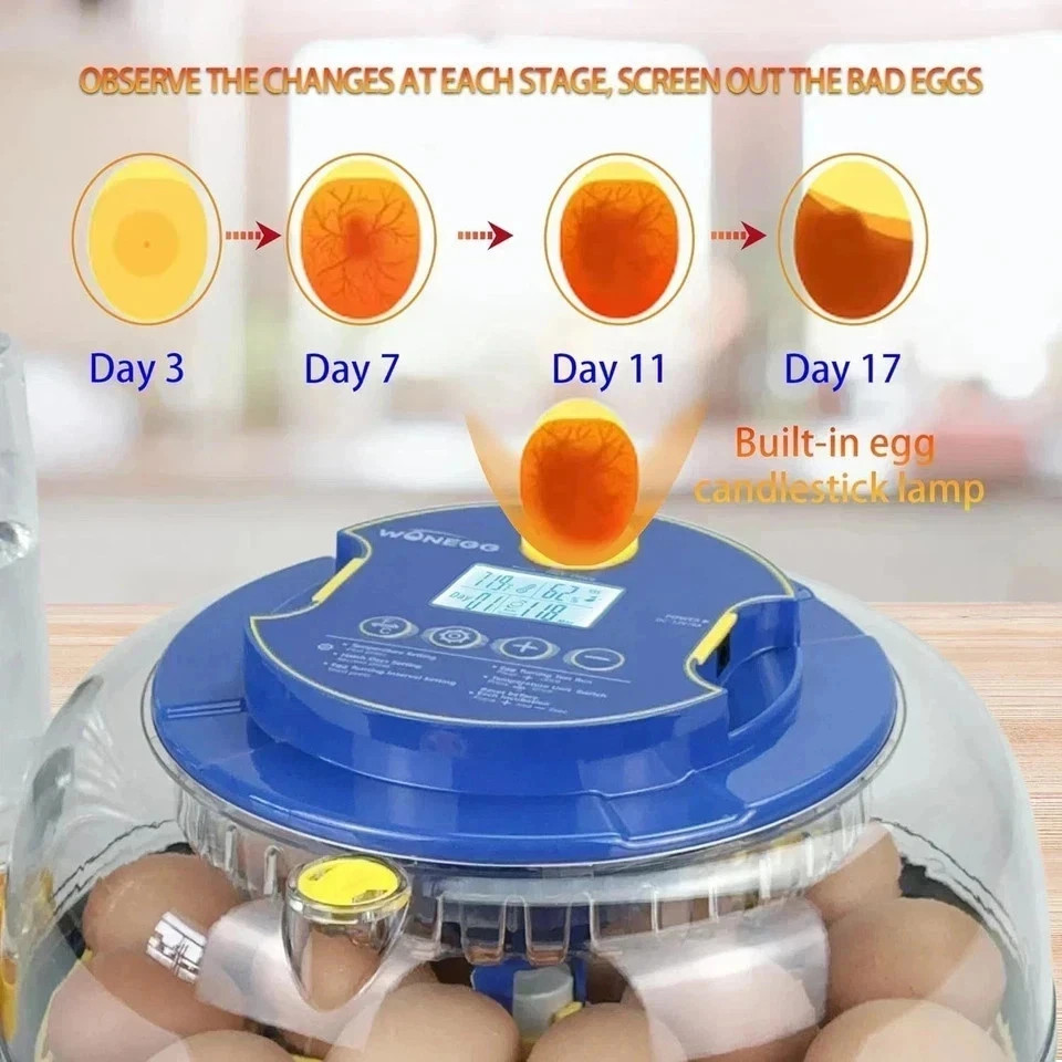 Incubators for Hatching Eggs,18 Egg Incubator with Automatic Egg Turning and ...