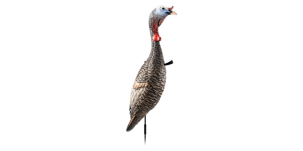 Flextone Funky Chicken Decoy Non-intimidating Design Trigger Aggressive Behavior