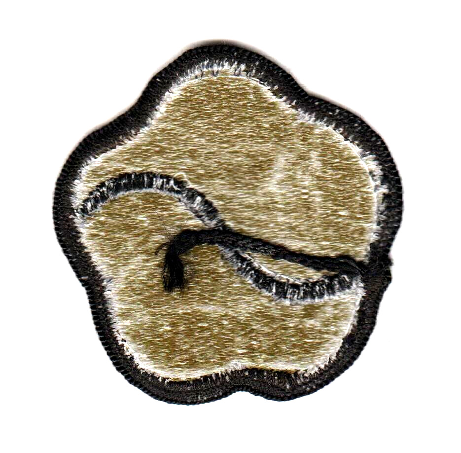 US ARMY 19th SUPPORT BRIGADE Olive/Drab Patch