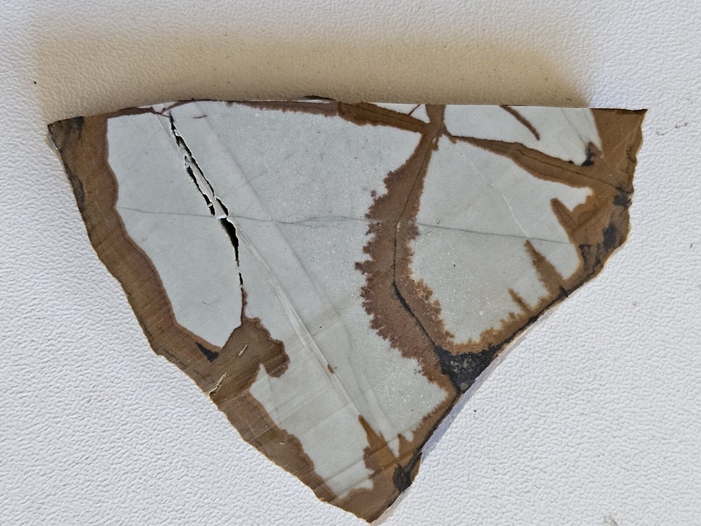 Owyhee Jasper Lapidary Slab 28 Grams