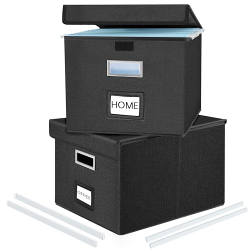 Upgraded File Organizer Boxes with Lids, 2 pack - without folders Black