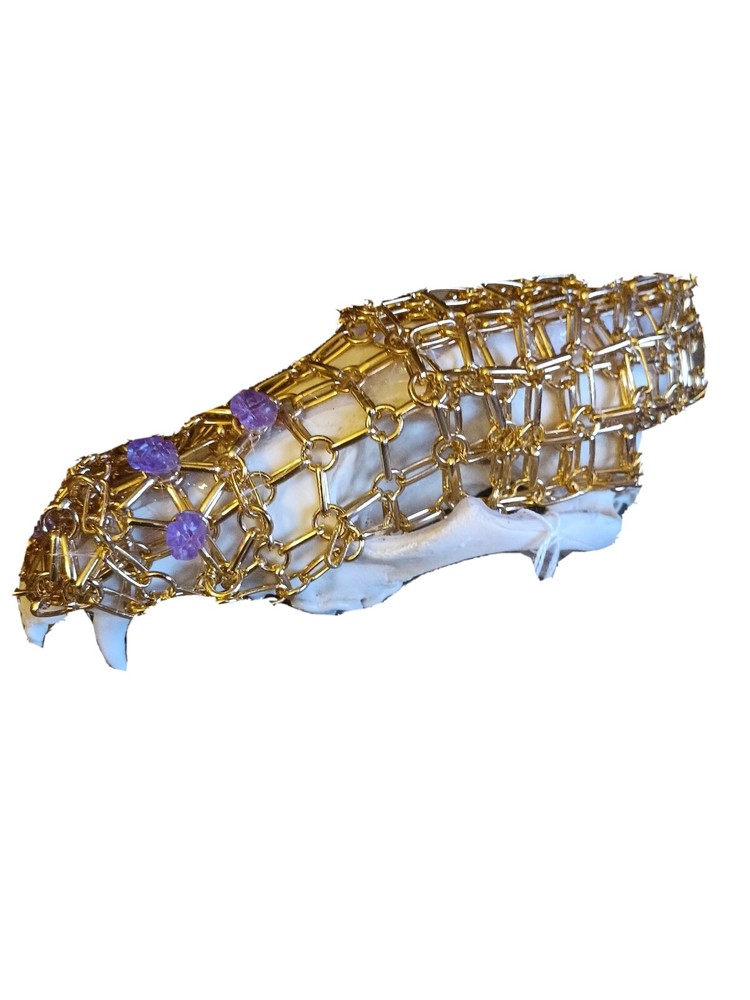 Real Coyote Skull Bejeweled (Box 4)