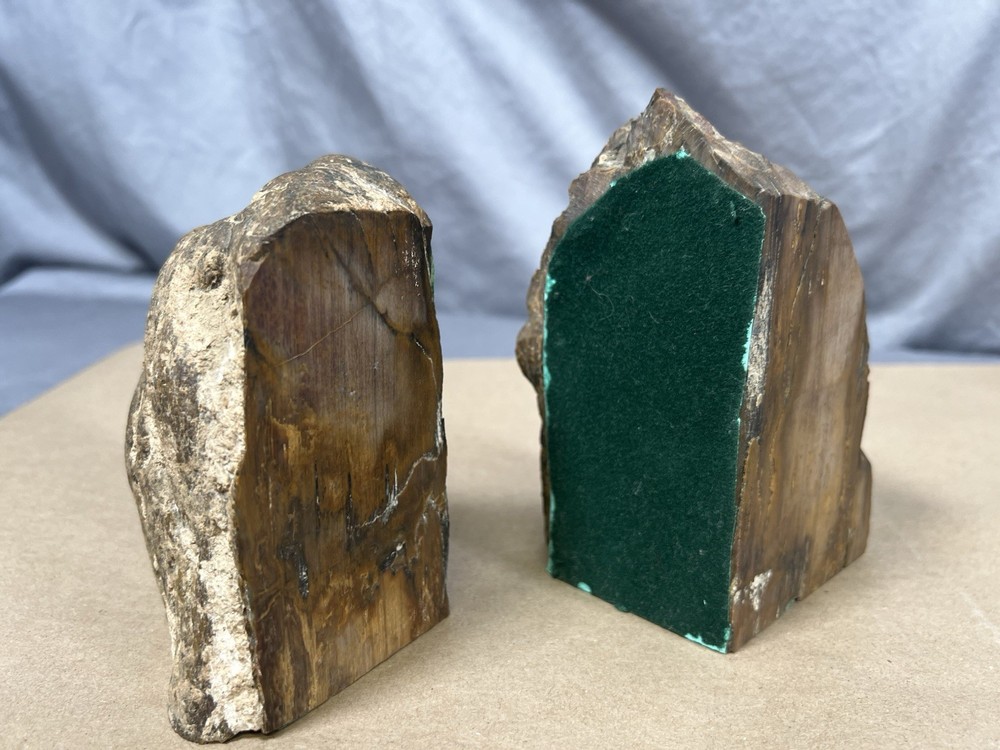 Petrified Wood Bookend Pair with felt padding