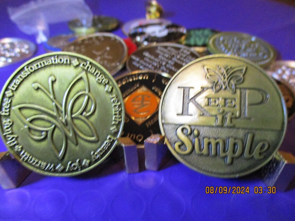 Coin Brass Chip All 12 Step Programs Medallion Surrender / Serenity