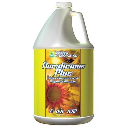 Floralicious Plus 4 litres