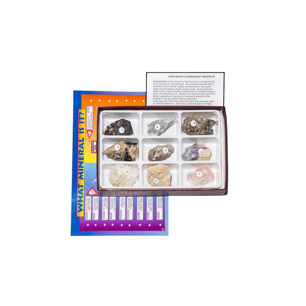 Mineral Collection, Fluorescent, Longwave