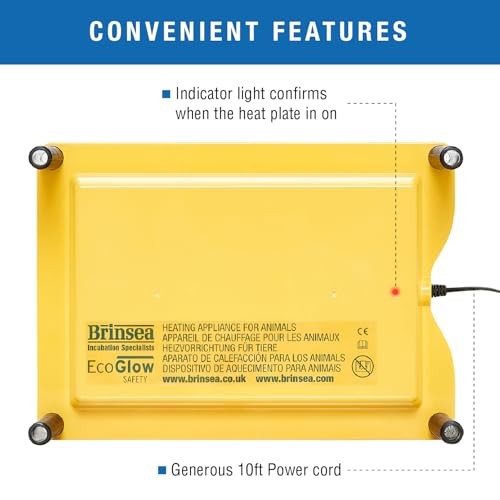 Brinsea Ecoglow Safety 600 Chick or Duckling Brooder, Assorted Sizes
