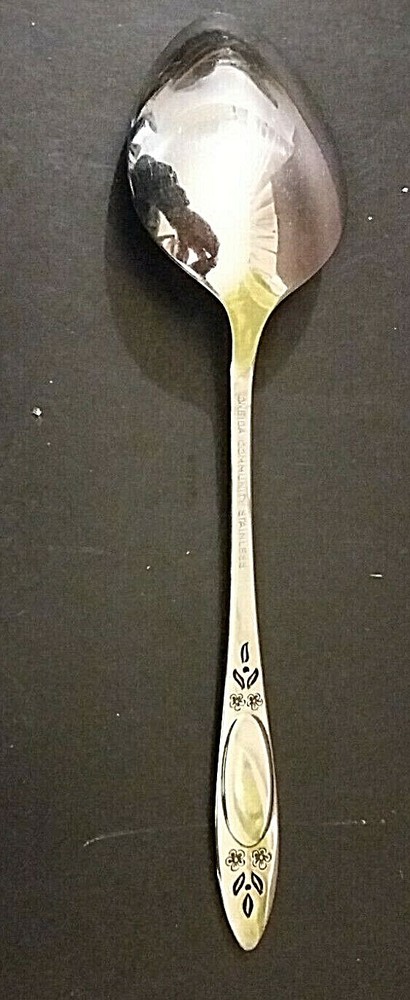 Oneida Vignette Stainless Oval soup spoon 6 7/8"