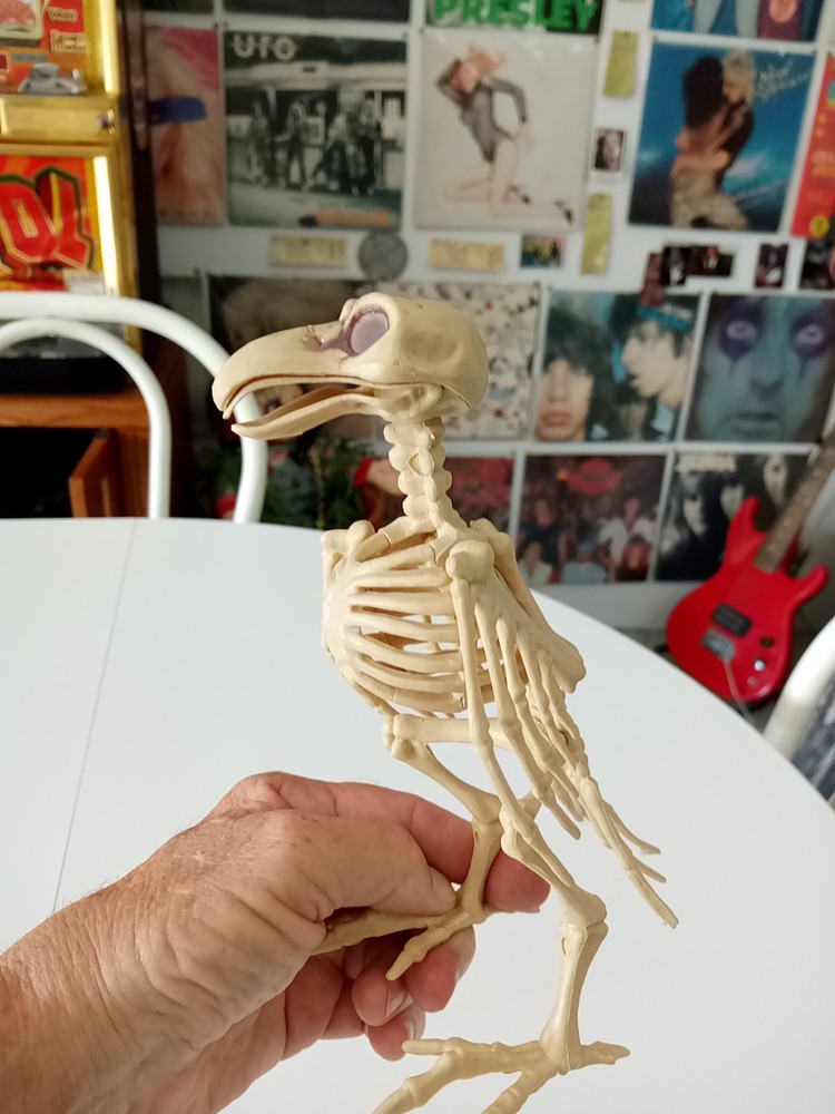 Greenbrier skeleton mini bird crow Halloween prop decor