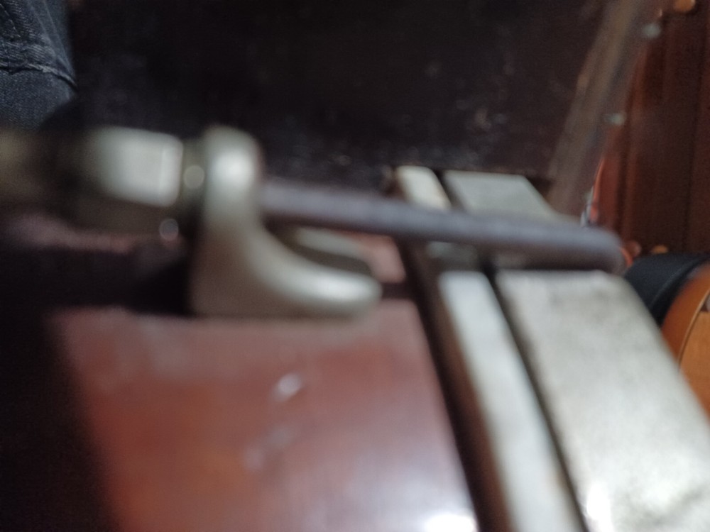 Bacon banjo banjolin