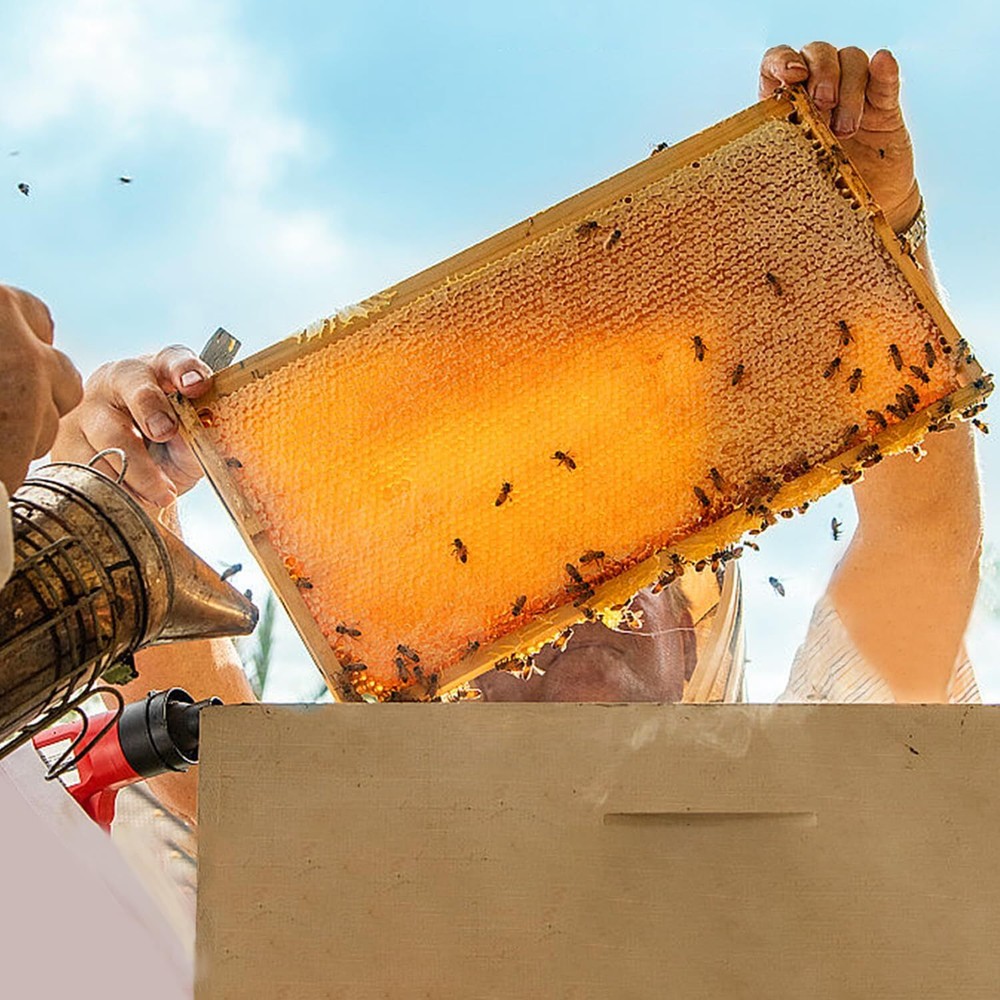 POLLIBEE Deep Brood Bee Hive Frames and Wax Foundations,10 Pack Honey Bee Frames