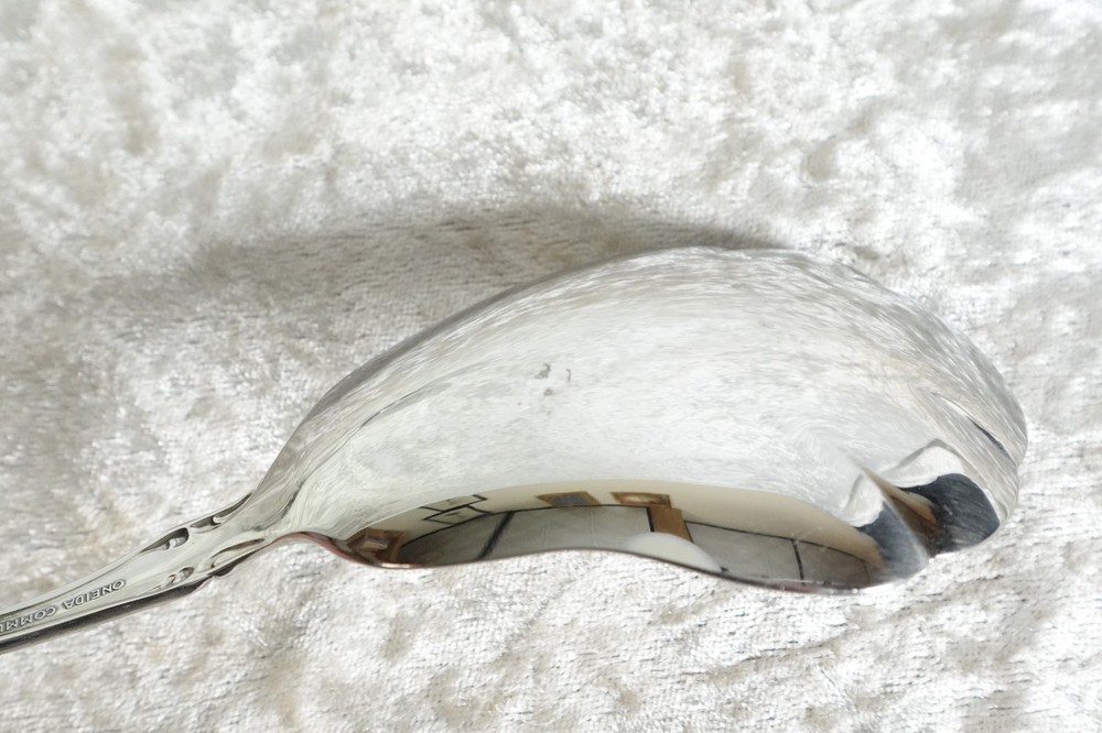 'Brahms' Stainless By Oneida Community 2 Pieces Pie Server & Casserole Spoon