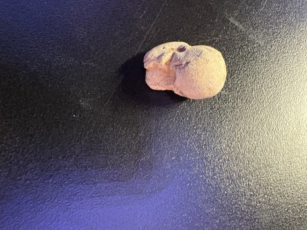 Dug Civil War Relic