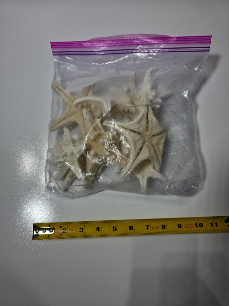 Large ziplock bag of starfish.