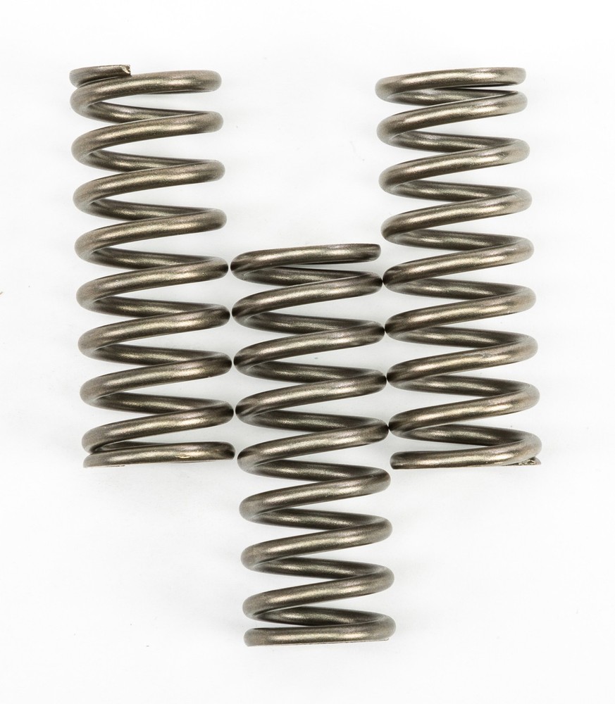 EBC Clutch Spring Set - Clutch Springs - CSK239