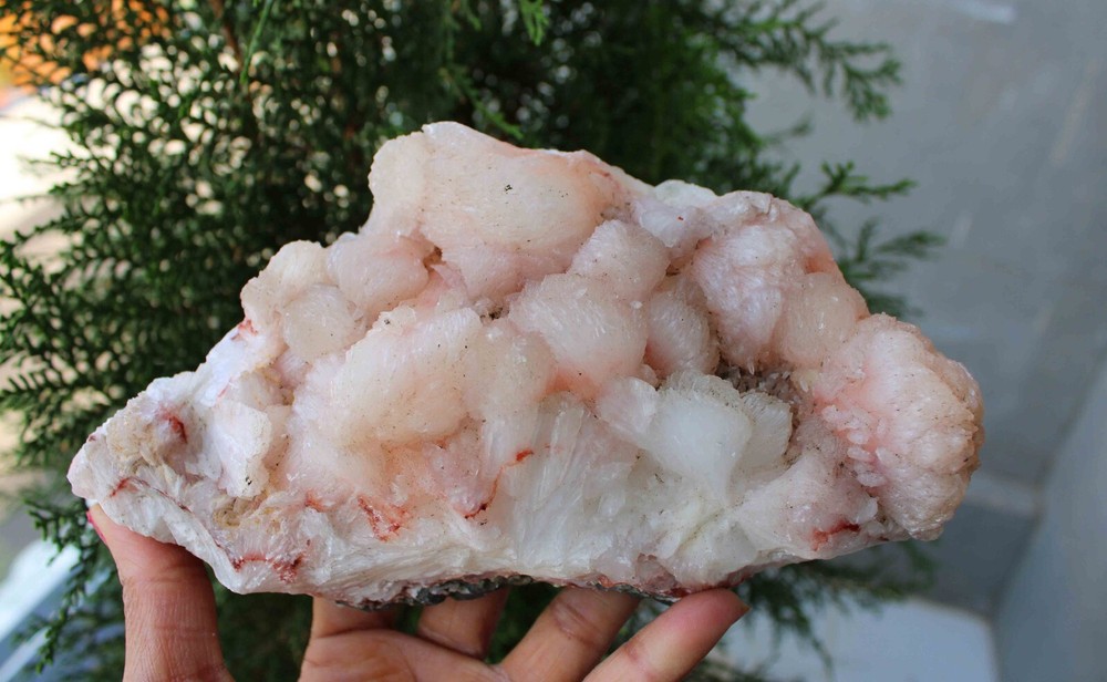 Stilbite On Matrix Minerals Specimen #M19