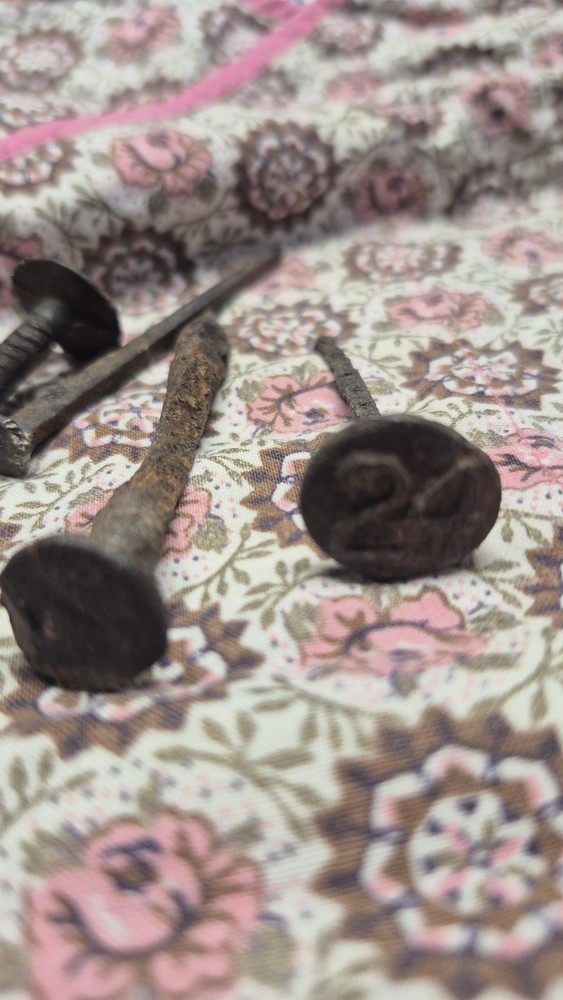 29 Antique Nails