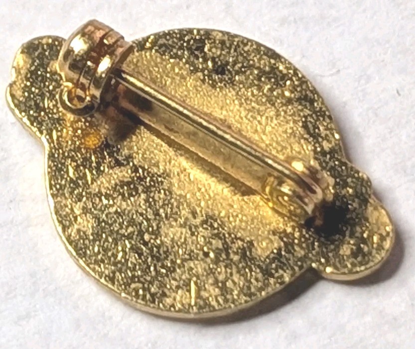 NASA 20 Year Service Pin - Pin Back