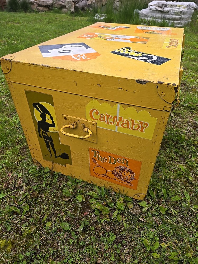 Retro Vintage 60's Trunk