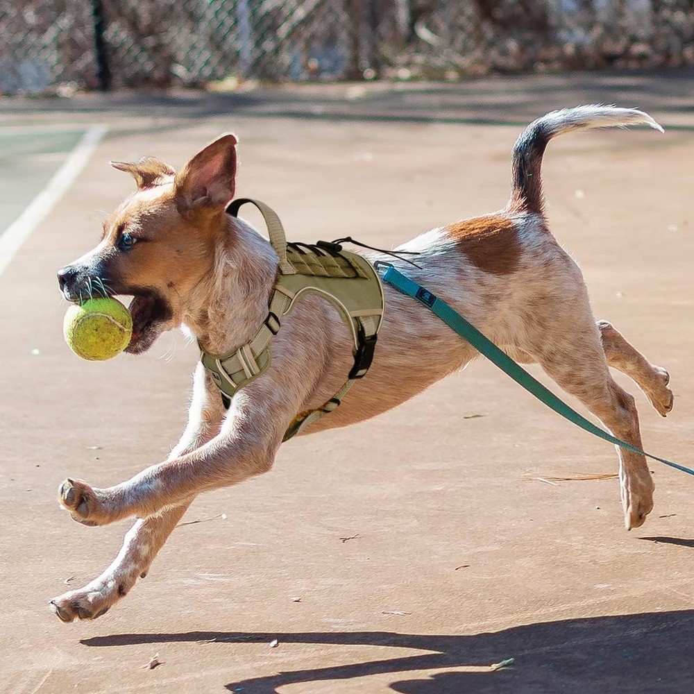 No Pull Reflective Dog Training Harness