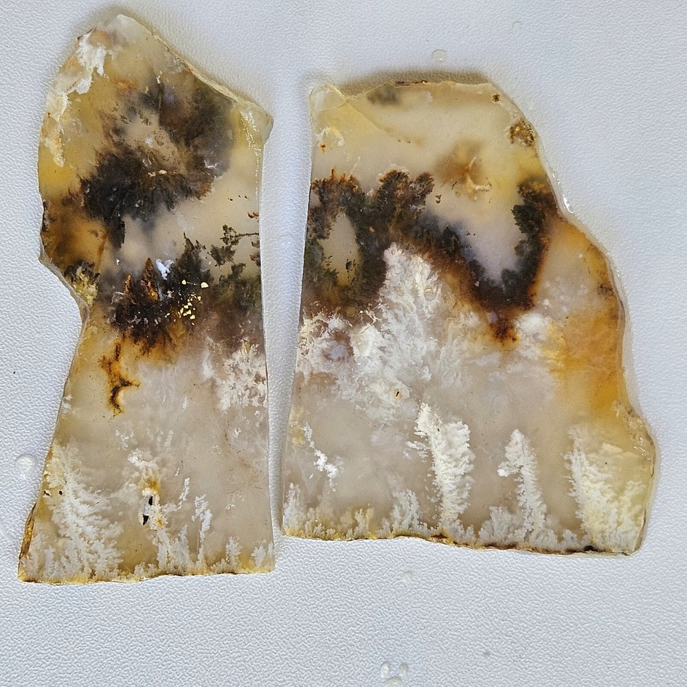 Nice Graveyard Plume Agate Lapidary Slabs 76 Grams