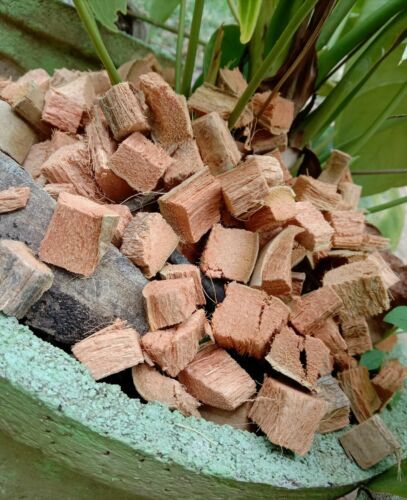 Coconut Husk