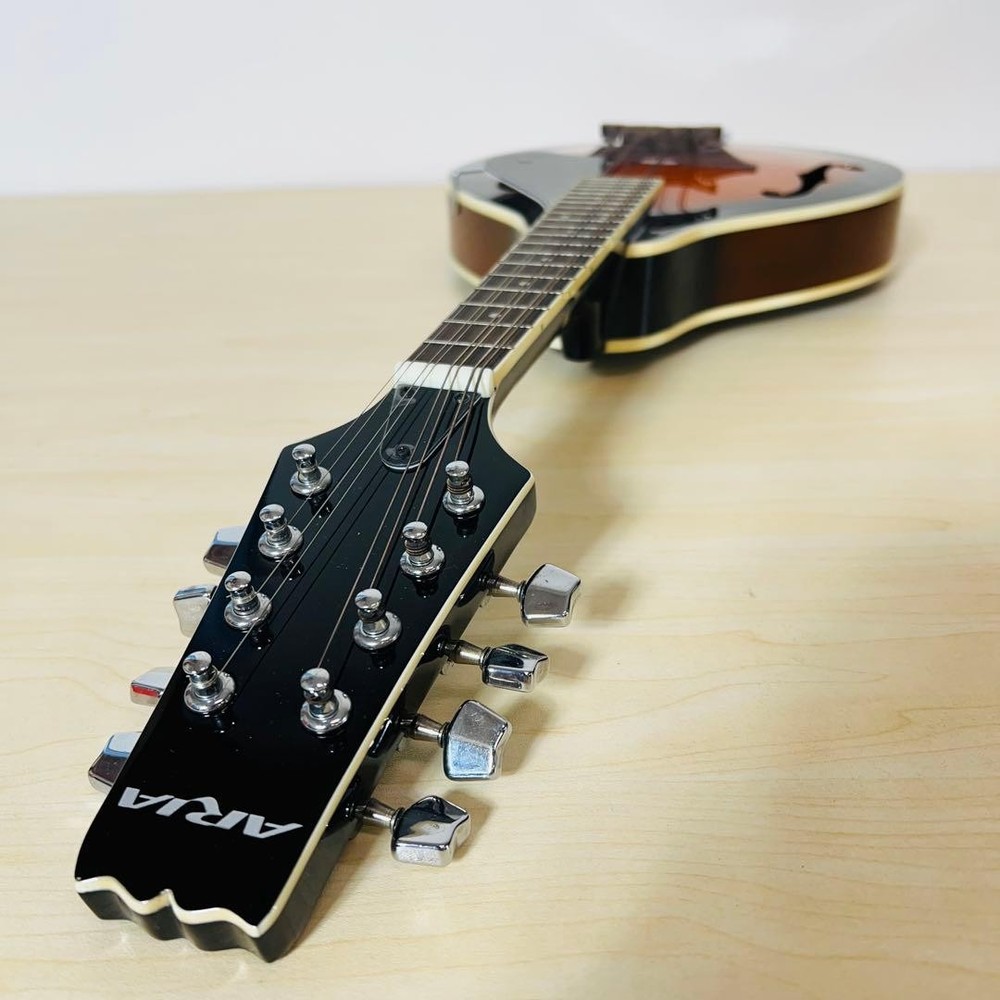 ARIA AM-20 Mandolin 8 string with hard case