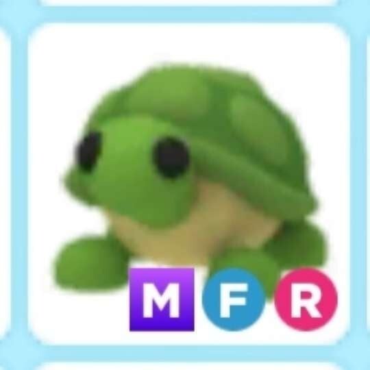 MFR Turtle - Mega Fly Ride *SAME DAY DELIVERY* - Adopt